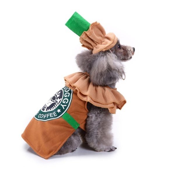 Starbucks Pumpkin Dog Dress Up, Funny Pet Costume Cosplay Halloween Party Sz S - Picture 3 of 10